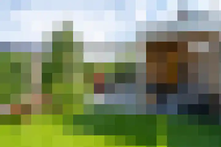Oeverwalpark 2 Vleuten thumbnail 20