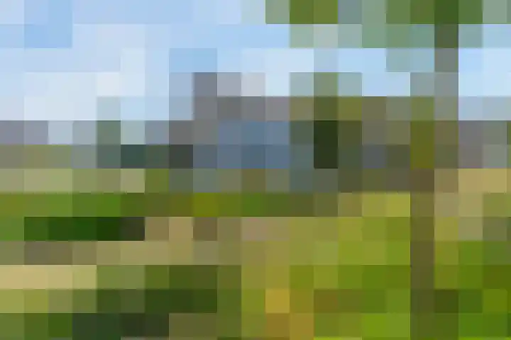 Oeverwalpark 2 Vleuten thumbnail 6