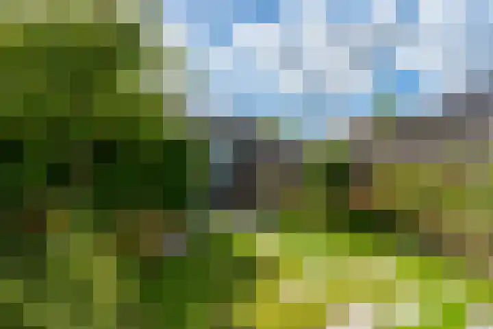 Oeverwalpark 40 Vleuten thumbnail 4
