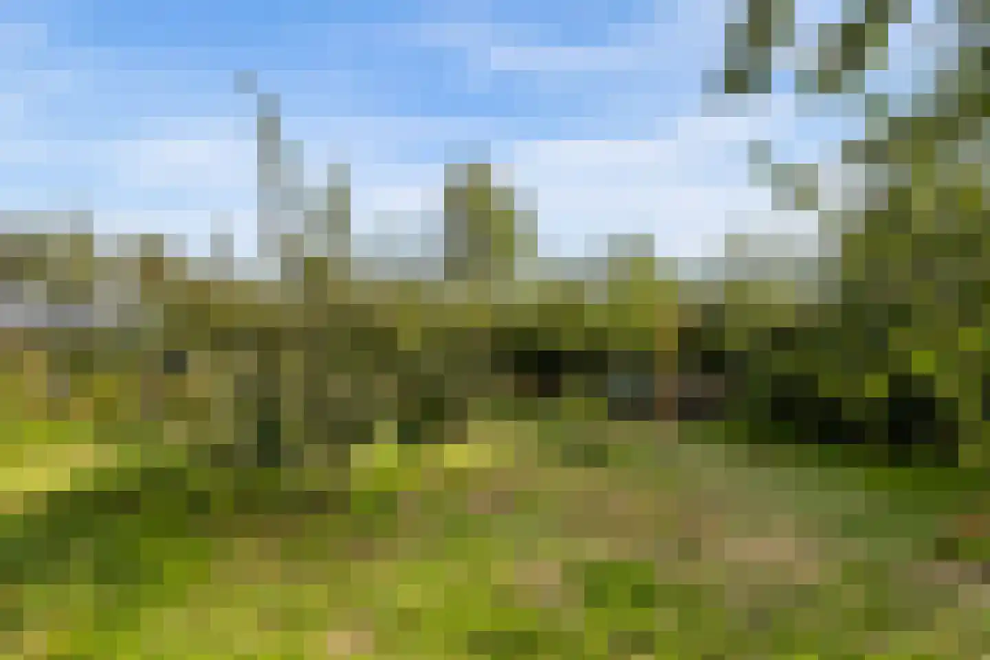 Oeverwalweg 111 Almere thumbnail 51