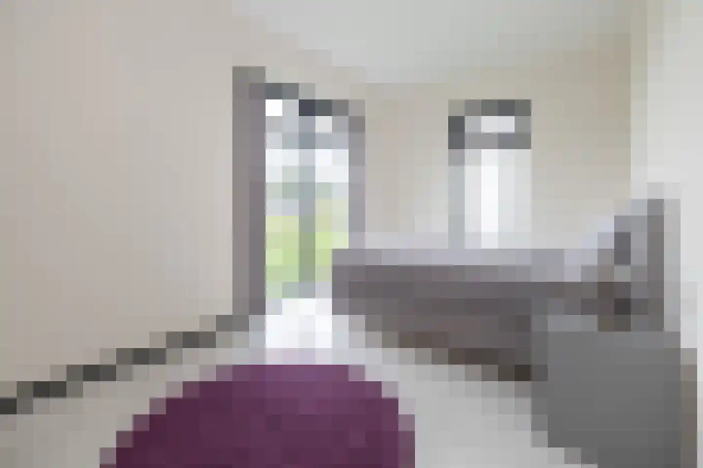 Oeverwalweg 123 Almere thumbnail 20