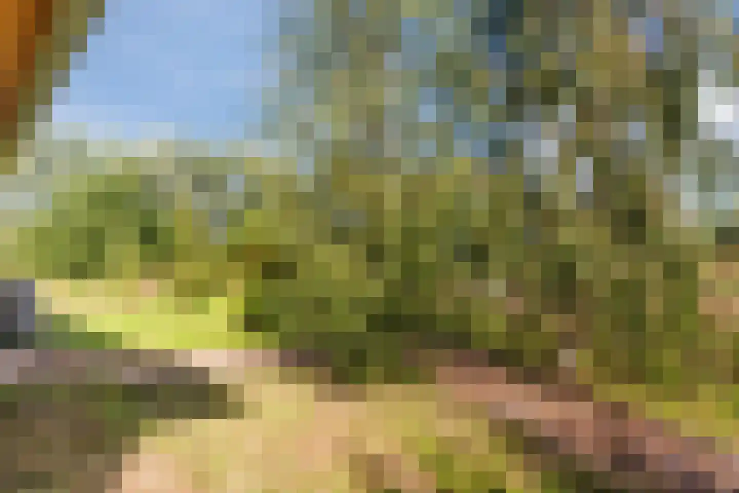Oeverwalweg 218 Almere thumbnail 38