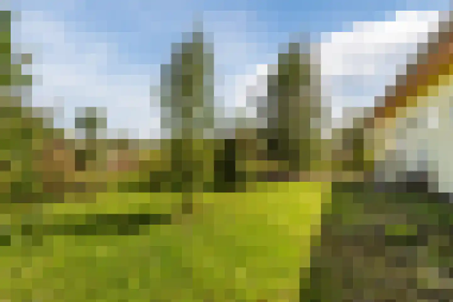 Oeverwalweg 218 Almere thumbnail 42