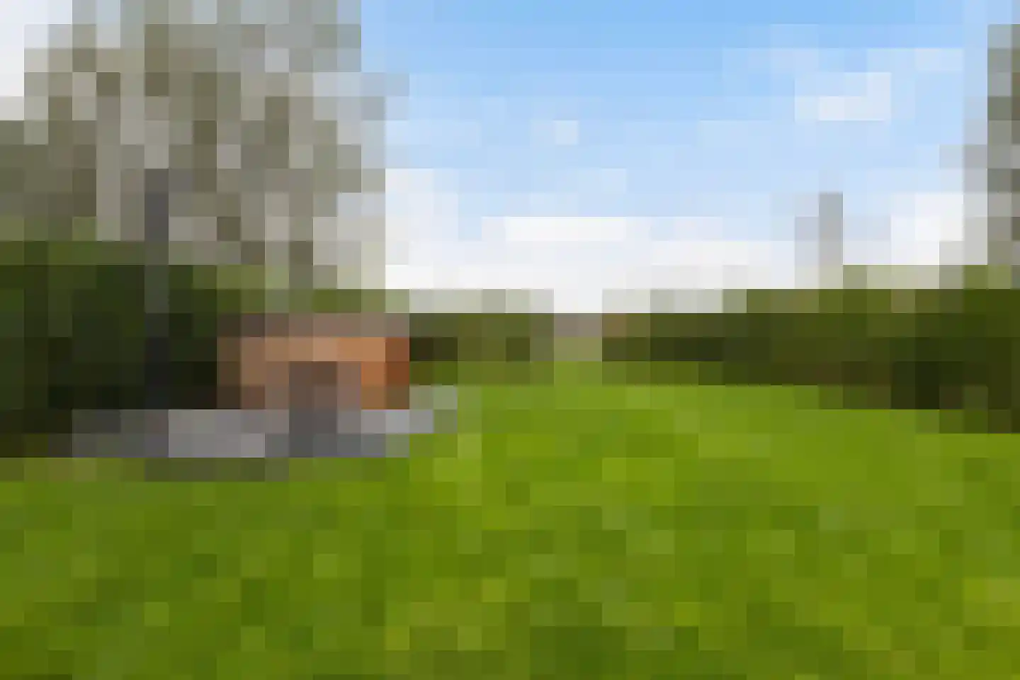 Oeverwalweg 233 Almere thumbnail 50