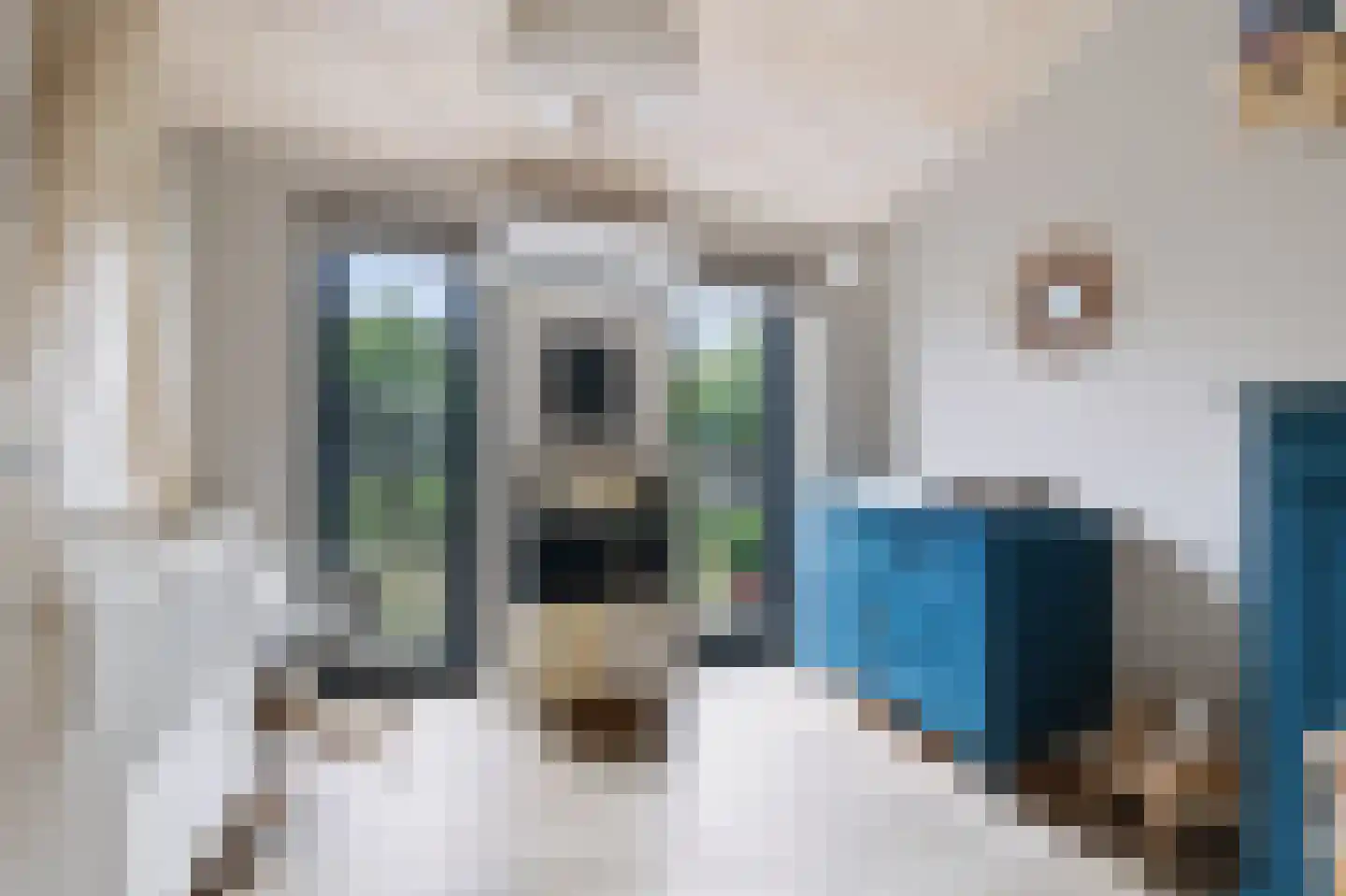 Oeverwalweg 240 Almere thumbnail 23
