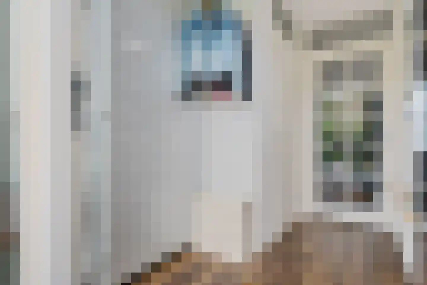 Oeverzegge 15 Zwolle thumbnail 11