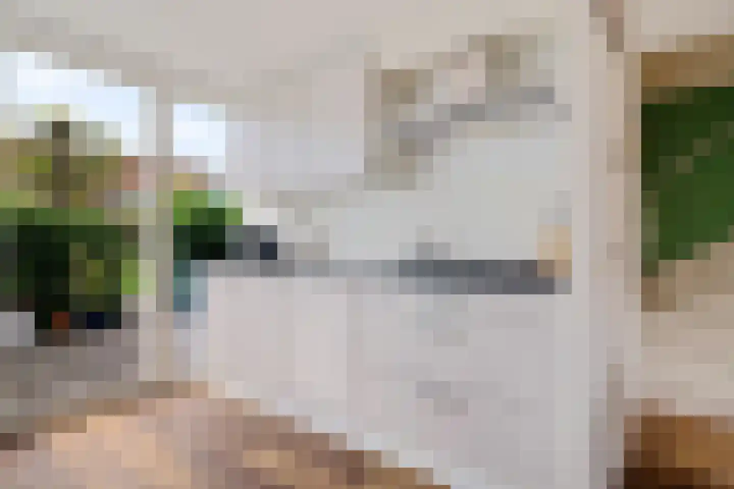 Oeverzegge 15 Zwolle thumbnail 12
