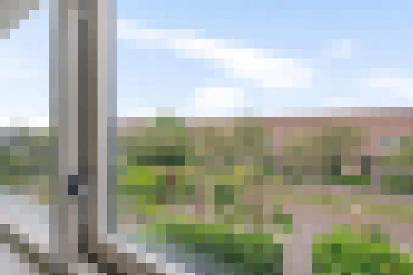 Oeverzegge 15 Zwolle thumbnail 22