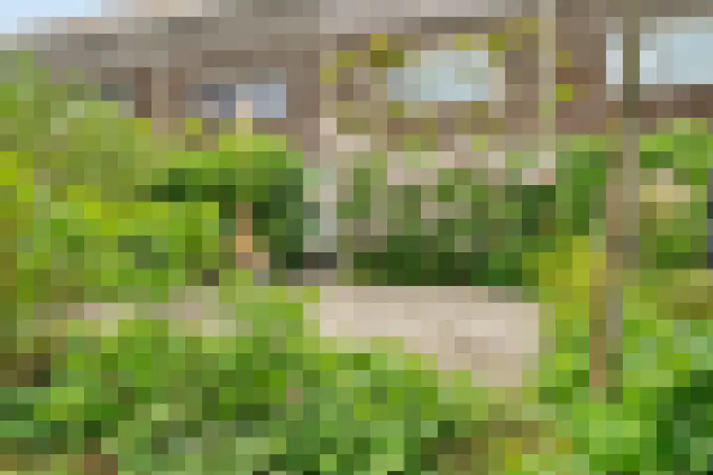 Oeverzegge 15 Zwolle thumbnail 32