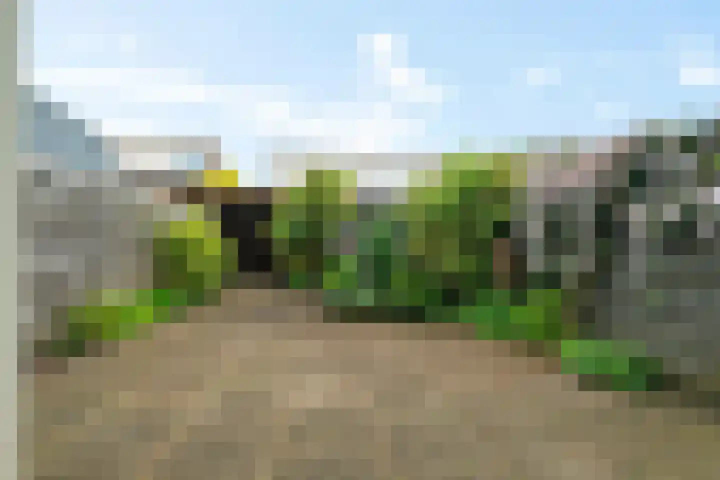 Oeverzegge 15 Zwolle thumbnail 34
