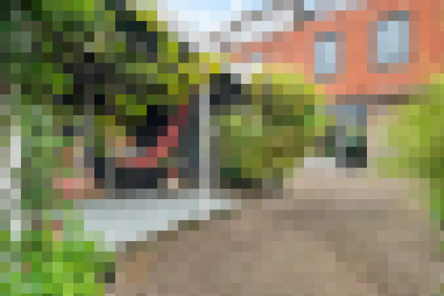 Oeverzegge 15 Zwolle thumbnail 36