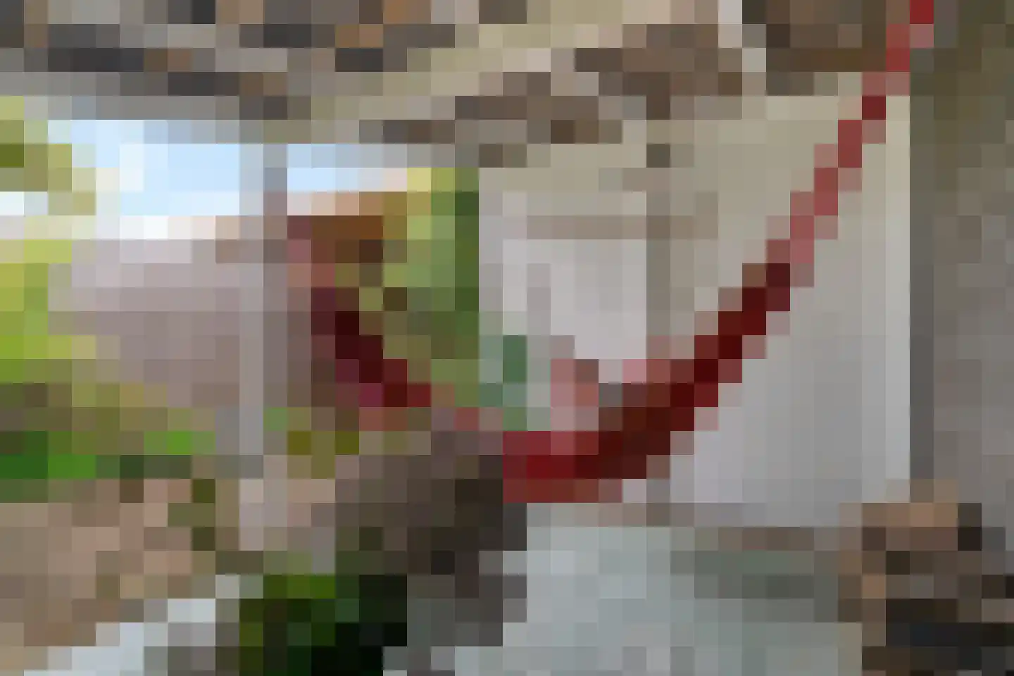 Oeverzegge 15 Zwolle thumbnail 39