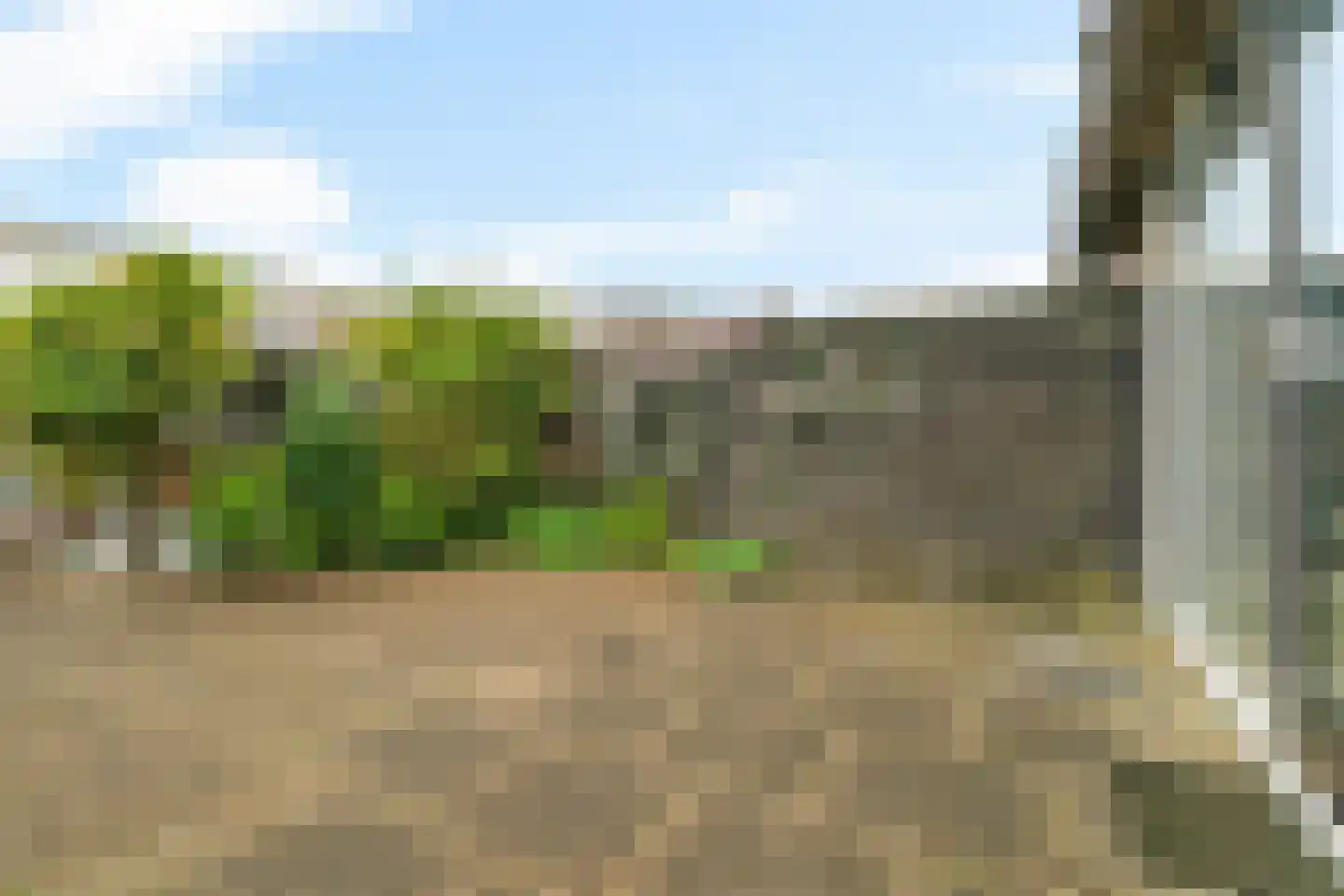 Oeverzegge 15 Zwolle thumbnail 41