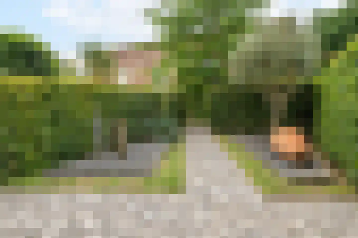 Oeverzegge 23 Zwolle thumbnail 8