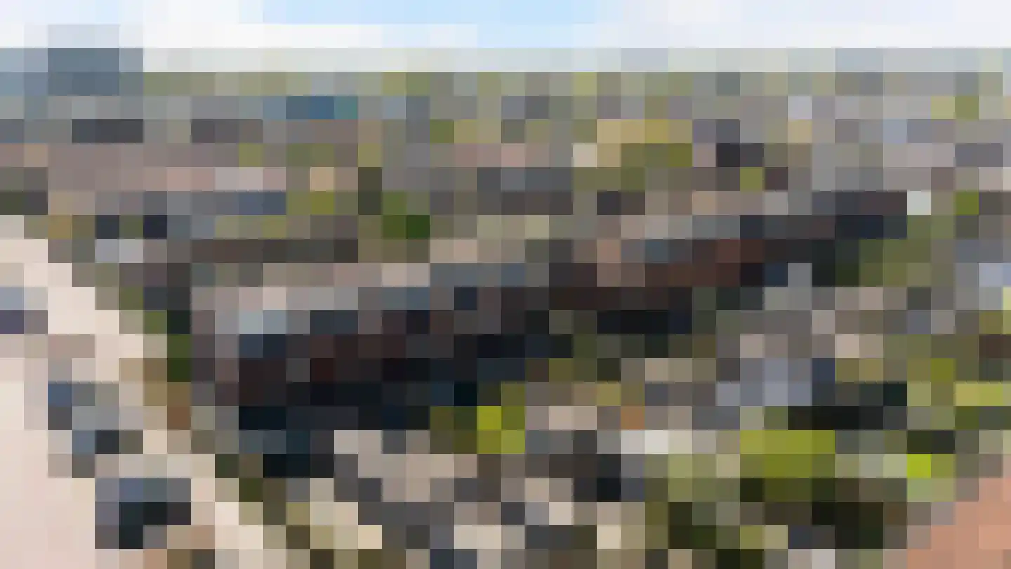 Oeverzegge 29 Zwolle thumbnail 29