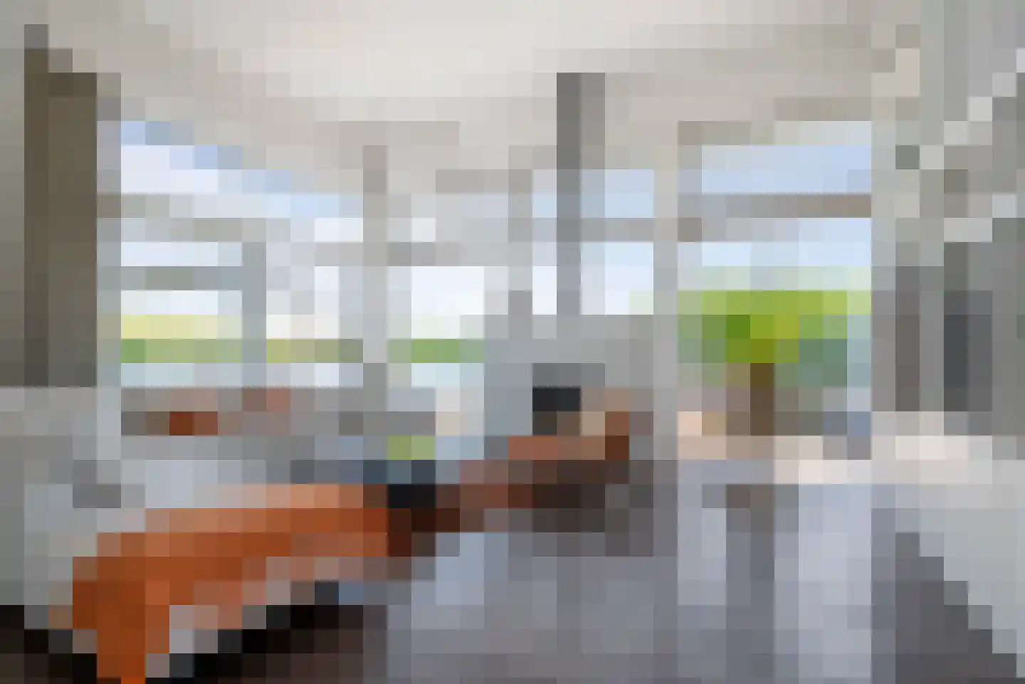 Oeverzegge 9 Lelystad thumbnail 6
