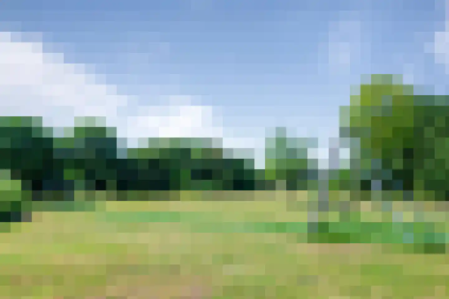 Oeverzegge 9 Lelystad thumbnail 69