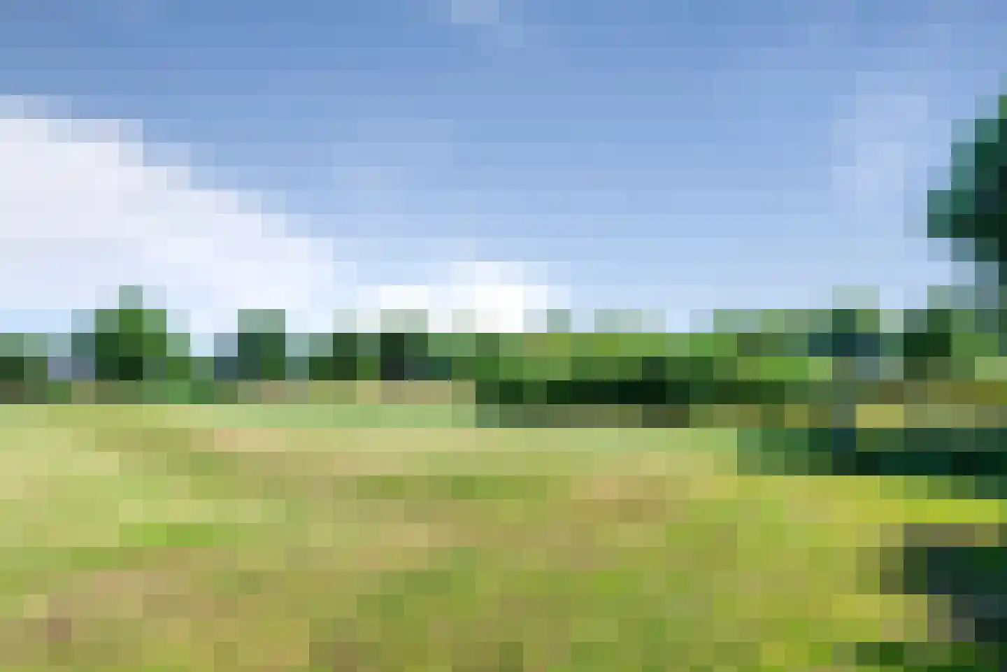 Oeverzegge 9 Lelystad thumbnail 70