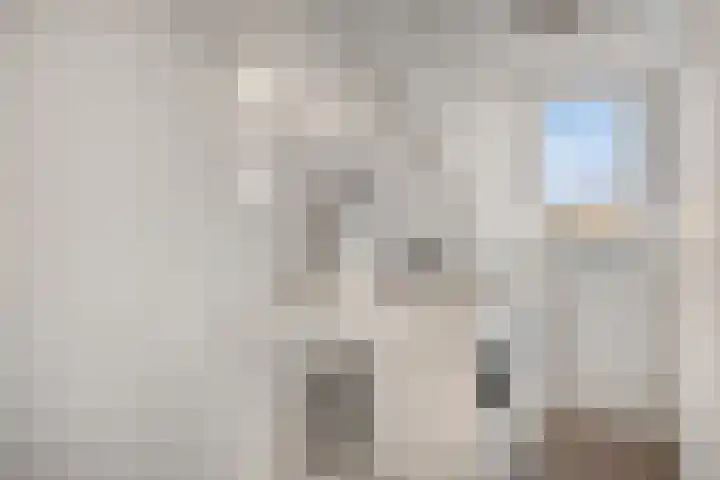 Oeverzegge 9 Zwolle thumbnail 19