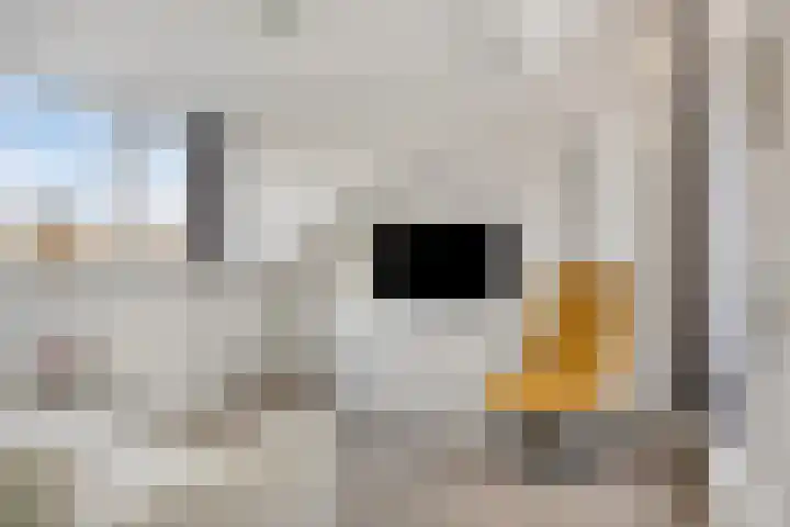 Oeverzegge 9 Zwolle thumbnail 20
