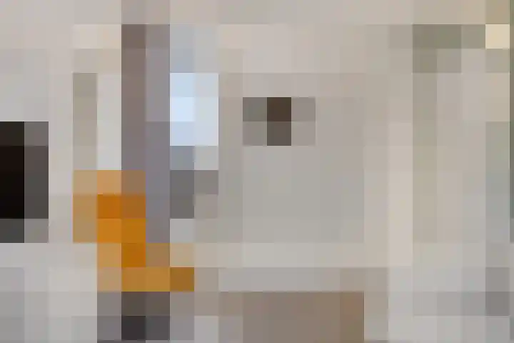 Oeverzegge 9 Zwolle thumbnail 21