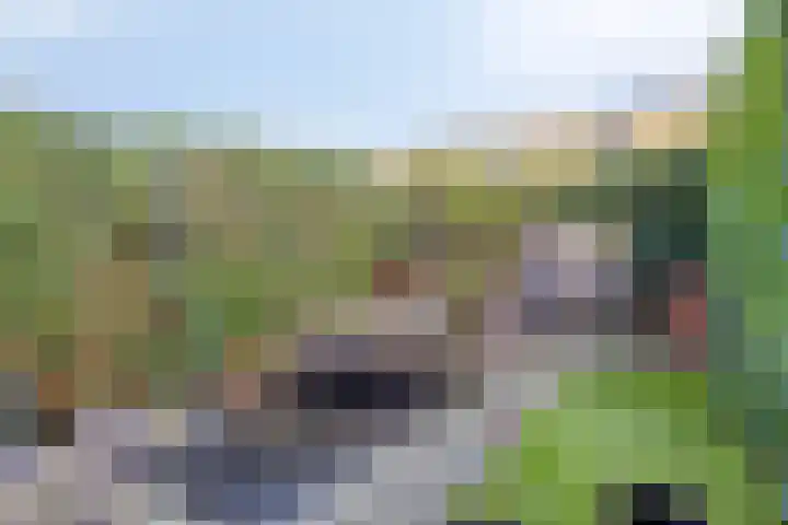 Oeverzegge 9 Zwolle thumbnail 23