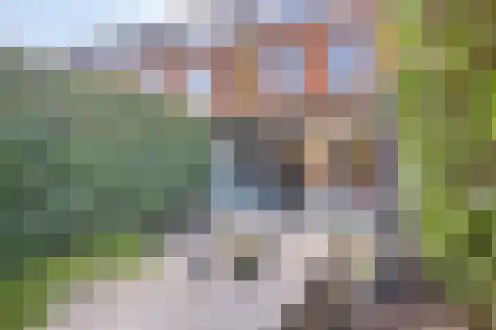 Oeverzegge 9 Zwolle thumbnail 25