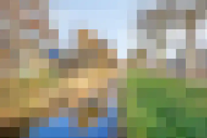 Oeverzegge 9 Zwolle thumbnail 26