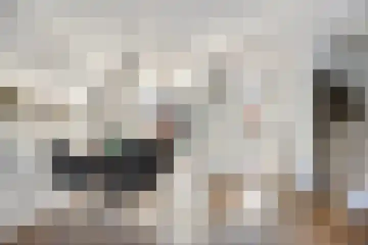 Oeverzegge 9 Zwolle thumbnail 8