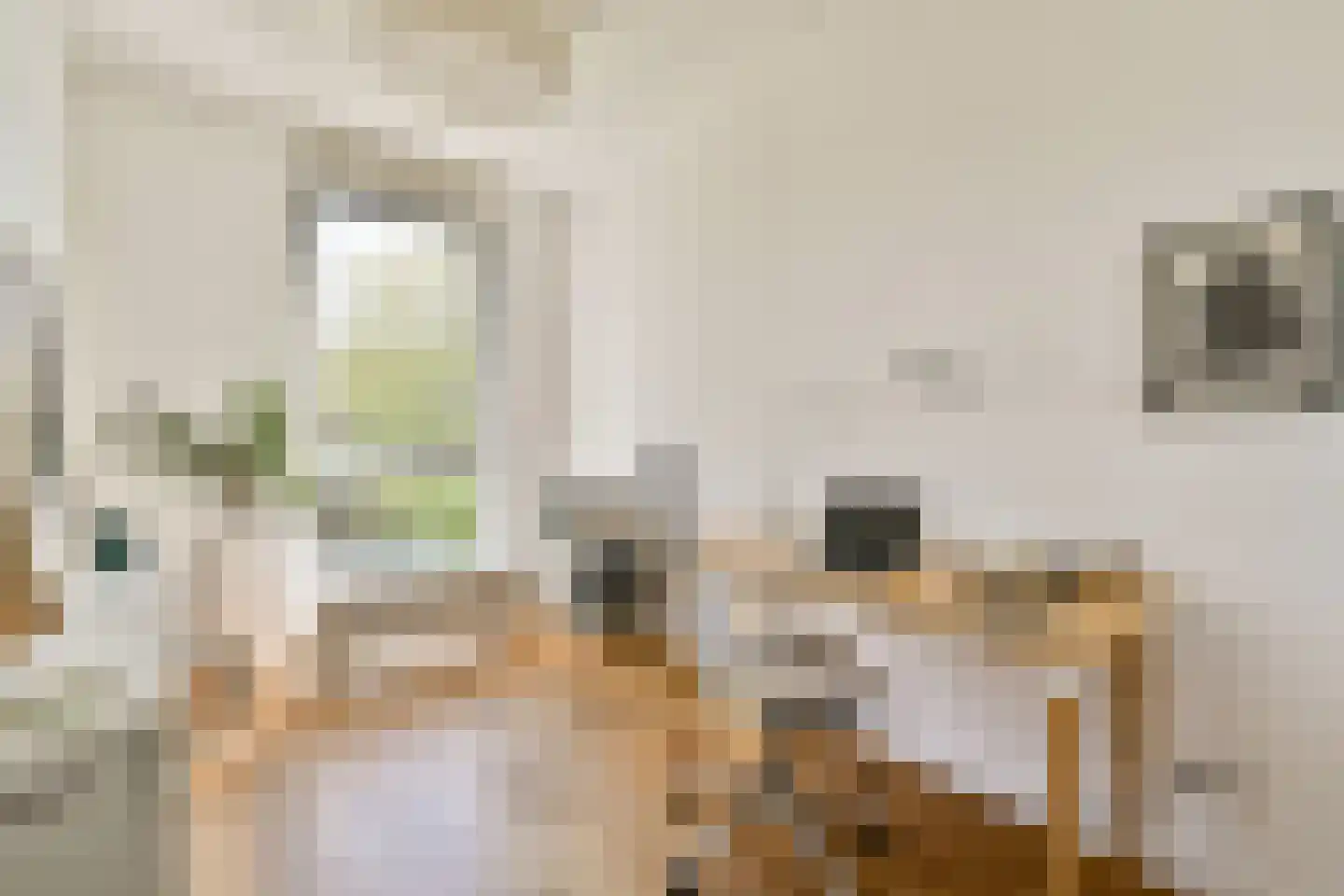 Oeverzeggestraat 28 Amsterdam thumbnail 21