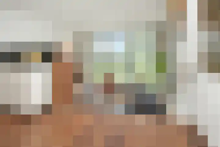 Oeverzeggestraat 36 Amsterdam thumbnail 15