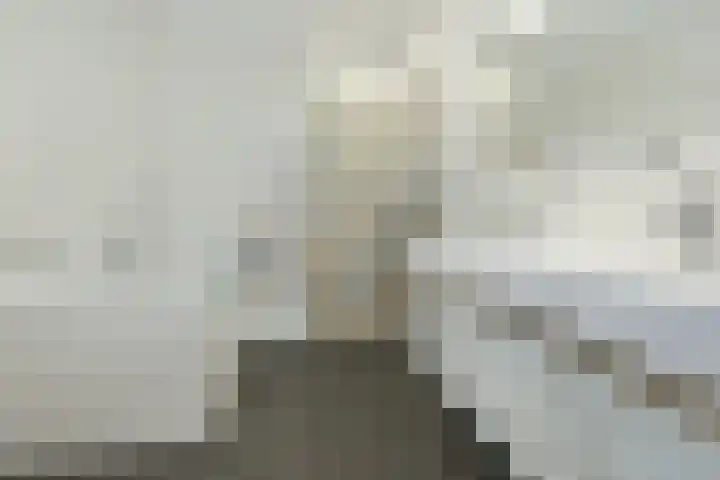 Oeverzeggestraat 36 Amsterdam thumbnail 32