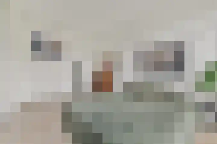 Oeverzeggestraat 64 Amsterdam thumbnail 11