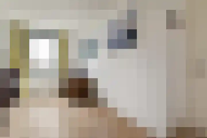 Oeverzeggestraat 64 Amsterdam thumbnail 17