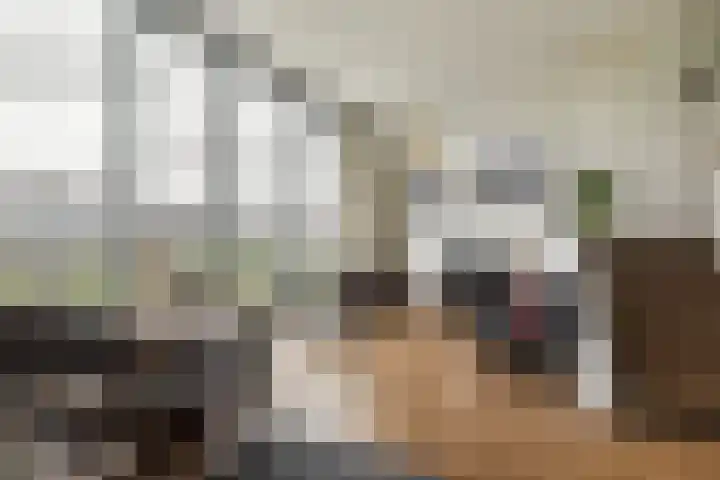 Oeverzeggestraat 64 Amsterdam thumbnail 5