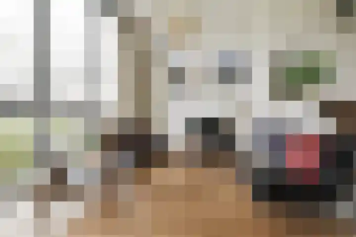 Oeverzeggestraat 64 Amsterdam thumbnail 6