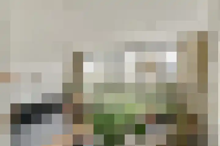 Oeverzeggestraat 64 Amsterdam thumbnail 8
