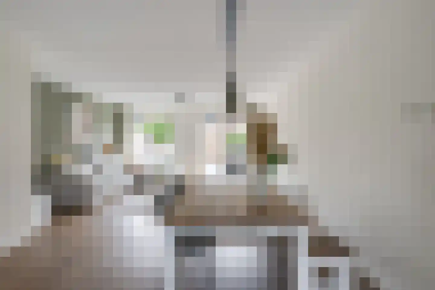 Oeverzeggeweg 3 Heerhugowaard thumbnail 12