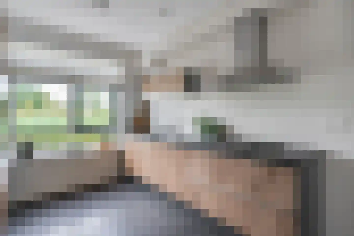 Oeverzeggeweg 3 Heerhugowaard thumbnail 13