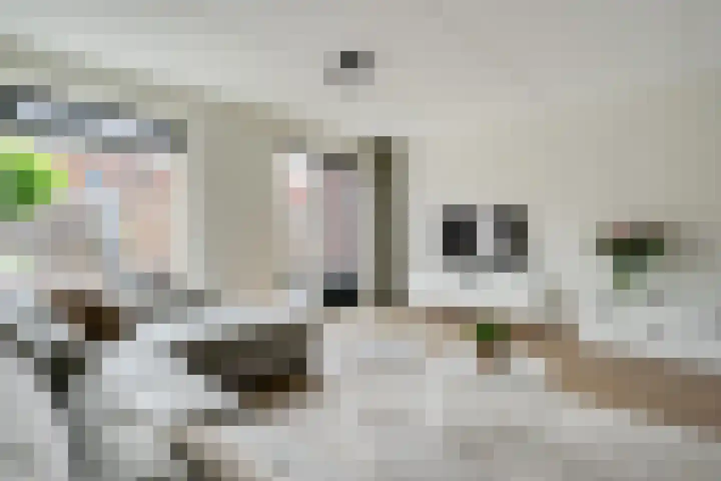 Oeverzeggeweg 3 Heerhugowaard thumbnail 7