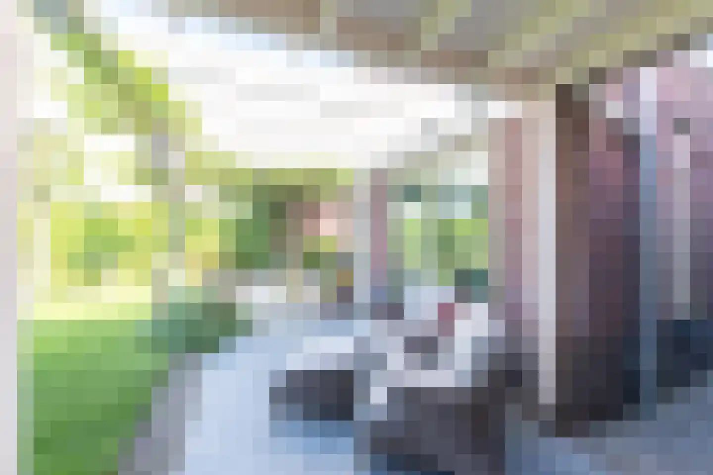 Oeverzeggeweg 32 Heerhugowaard thumbnail 50
