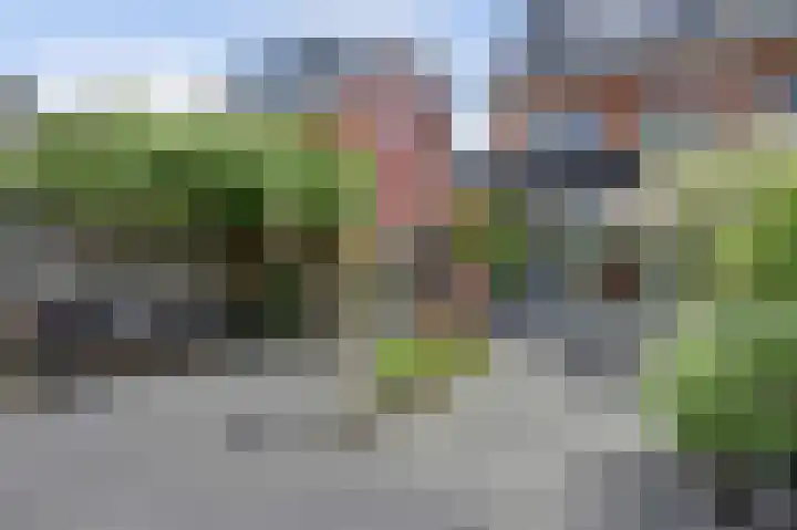 Oeverzeggeweg 61 Heerhugowaard thumbnail 31
