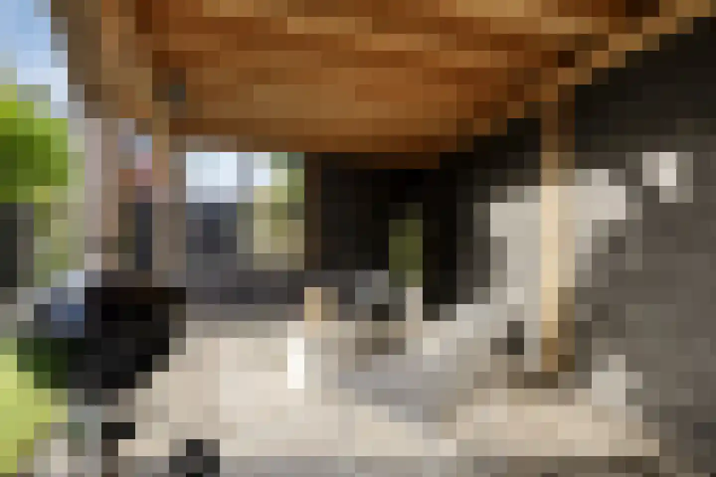 Oeverzeggeweg 73 Heerhugowaard thumbnail 61