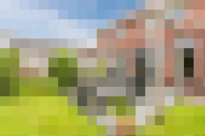 Oeverzeggeweg 77 Heerhugowaard thumbnail 36
