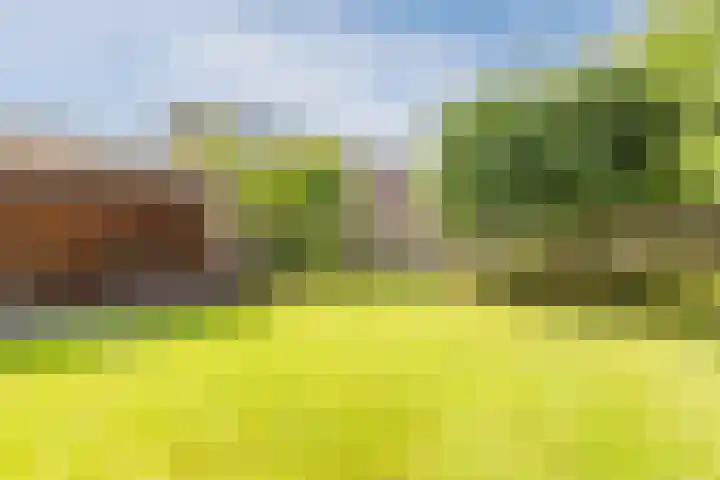 Oeverzeggeweg 77 Heerhugowaard thumbnail 38