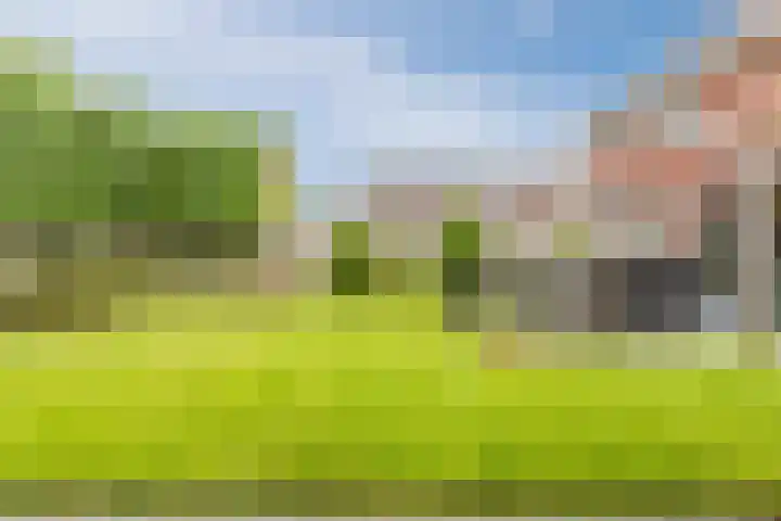 Oeverzeggeweg 77 Heerhugowaard thumbnail 39