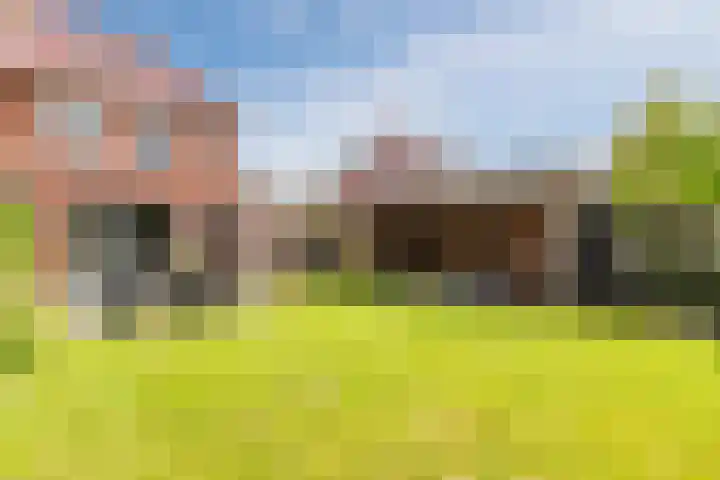 Oeverzeggeweg 77 Heerhugowaard thumbnail 40