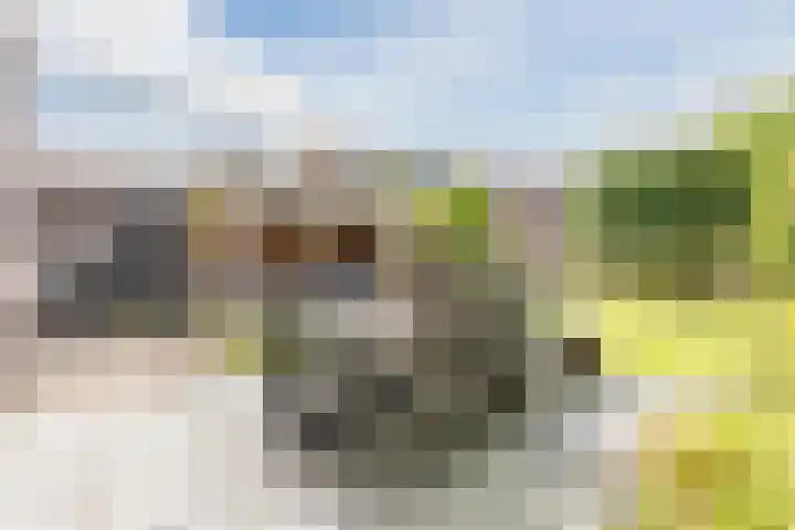 Oeverzeggeweg 77 Heerhugowaard thumbnail 45