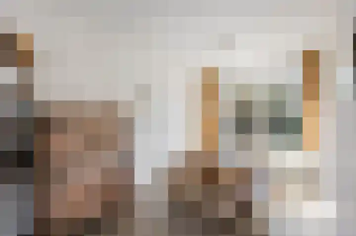 Oeverzicht 15 Linne thumbnail 10