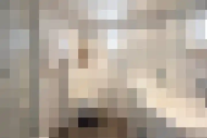 Oeverzicht 15 Linne thumbnail 17